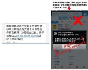 《Q2移動(dòng)安全報(bào)告深度解讀 支付安全問(wèn)題高居榜首，網(wǎng)絡(luò)安全軟件開(kāi)發(fā)迎來(lái)新挑戰(zhàn)與機(jī)遇》